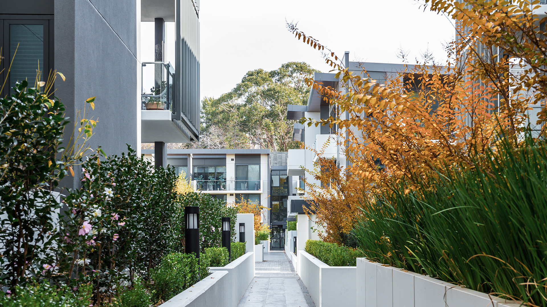 Amaya Apartments Chase Construction Chase Construction Now with